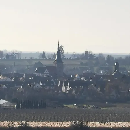 Haus Willi Freinsheim