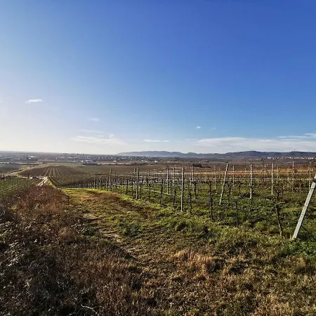 Haus Willi Апартаменты *