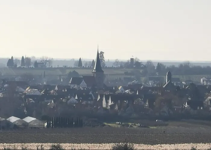 Haus Willi Freinsheim