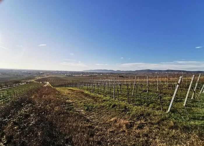 Haus Willi Appartement *